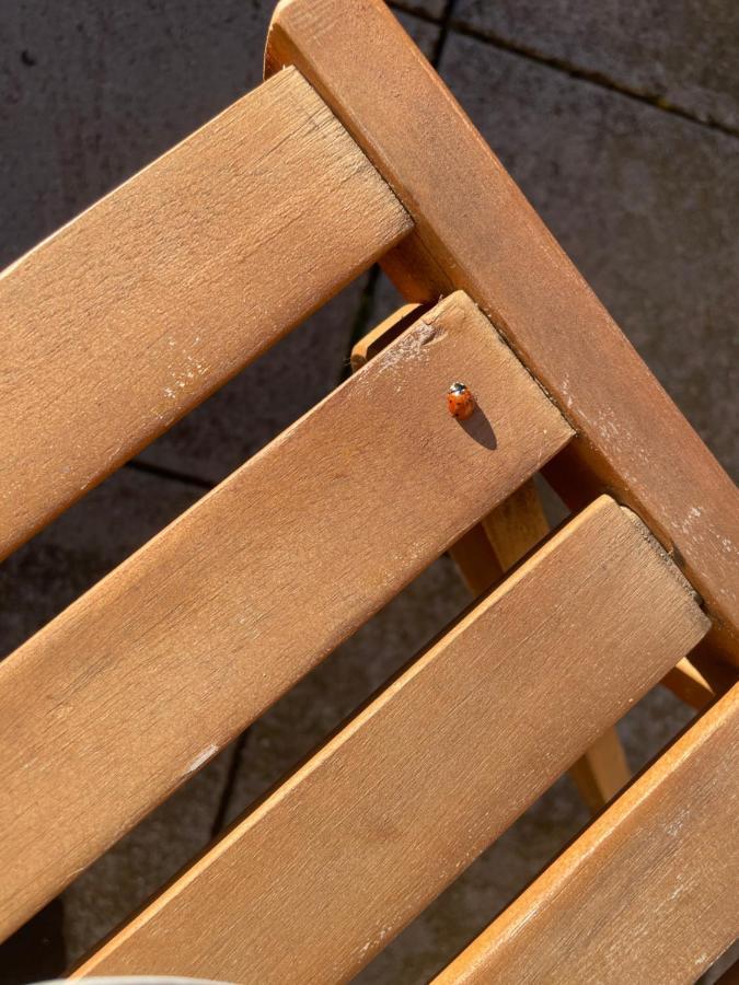 Duplex 6 Plazas Para Desconectar De La Rutina Oliana 外观 照片